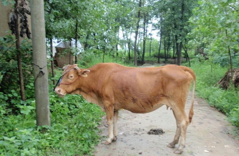 衢州最新求一个套医保卡的黄牛是真的吗方法分析(最方便真实的衢州求一个套医保卡的黄牛是真的吗还是假的方法)